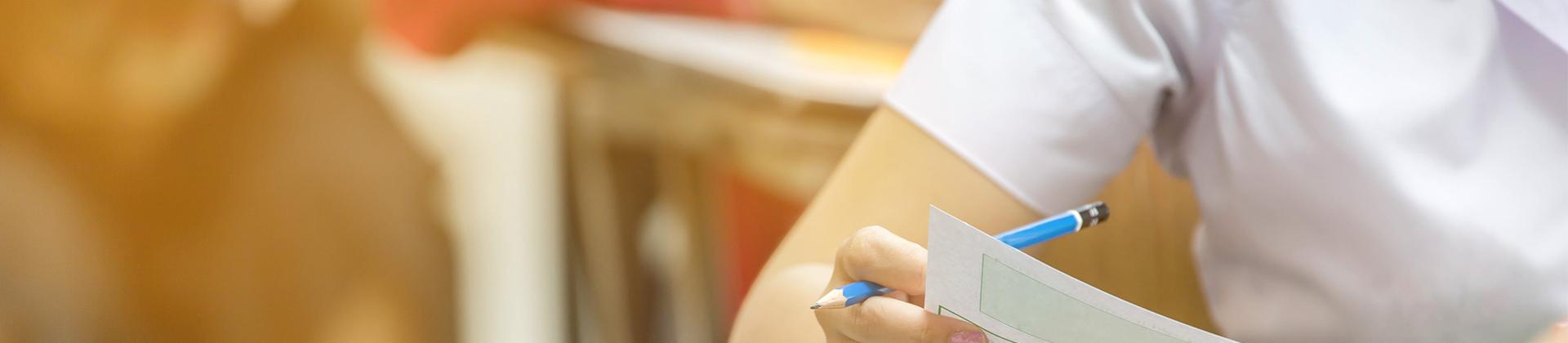 An investigation into allegations relating to the appointment of a school principal
