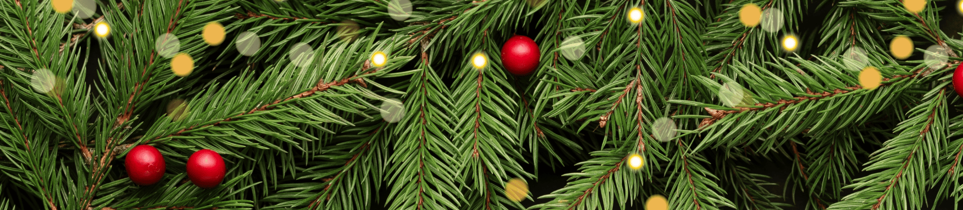 Image of a Christmas tree branches. 