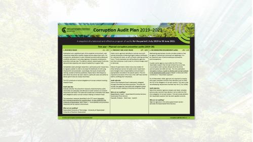 Corruption audits
