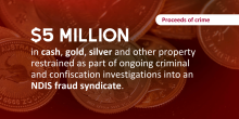 Text overlaid on coins background: '$5 million in cash, gold, silver, and other property restrained in ongoing NDIS fraud investigations.'